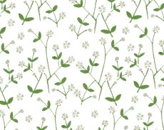 画像3: 茶筒『はこべ』/150g茶葉用 (3)