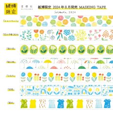 画像2: 紙博限定 マスキングテープ『シャーベット』 (2)